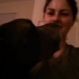 West Roxbury Cat Sitter Interviewing For Work in Massachusetts