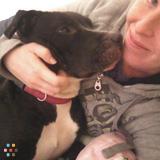 Experienced Animal Handler Available for Pet Sitting