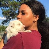 Available to care for ANY PET