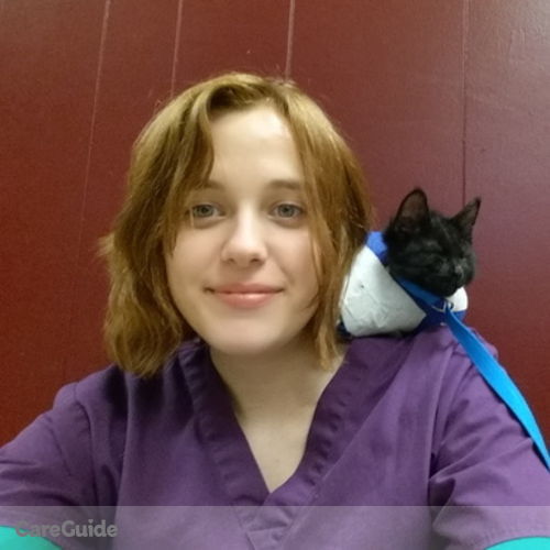 Pet Care Provider Delaney H's Profile Picture