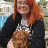Experienced Rockford Home Sitter Interviewing For Work