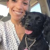 Pet care services in the comfort of your own home in North county region California