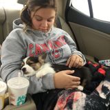 Interviewing For a Dog Sitter Opportunity in Palatine