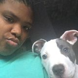 Looking For a Pet Sitter Opportunity in Mansfield