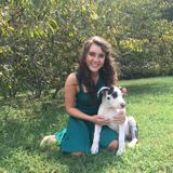 For Hire: Reliable Dog Walker in Knoxville