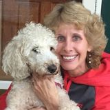 Central Massachusetts Dog Walker & Pet Sitter