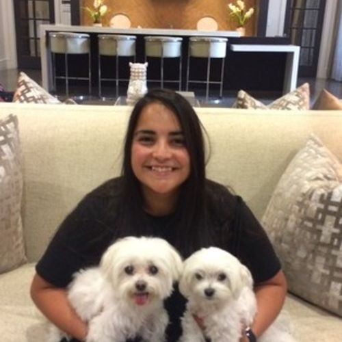 House Sitter Provider Jeanette F's Profile Picture