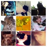 Honest,Reliable,& Absolute lover of any & all kind in your fam. lg/sm.??I welcome them all w/ an open?gentle touch?