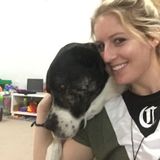 An animal lover looking for work!