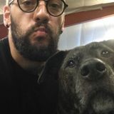 Ready To Hangout With Your Dog