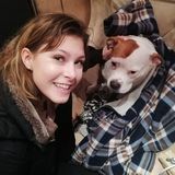 Chicago Area house and pet sitter