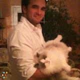 Pet sitter, very reliable! Manayunk/roxborough area