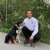 Saint Augustine Pet Service Provider Seeking Work