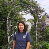 Recent college graduate seeking full-time/part-time babysitting work!