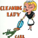The Cleaning Lady