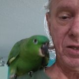 Reliable Pet Care Provider for Hire