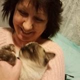 Pets love me