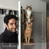 Looking for a cat check-ins. I travel a lot so and looking for someone who can do short notice too.