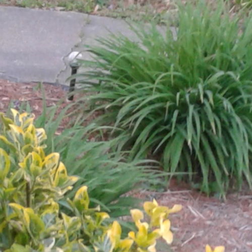 House Sitter Provider Stacey Zimmerlee's Profile Picture