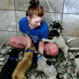 Pet sitter experienced with all kinds of pets