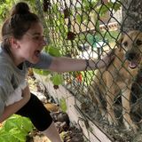 Interested In Milledgeville Cat Sitter Jobs