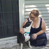 Zion (Township) Dog Sitter Available For Being Hired in Illinois