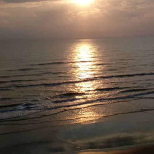 House Sitter Provider Debra M's Profile Picture