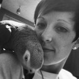 JenniferAnimal care/pet sitting/dog walking