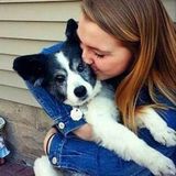 Superb Pet-sitter Available TODAY!