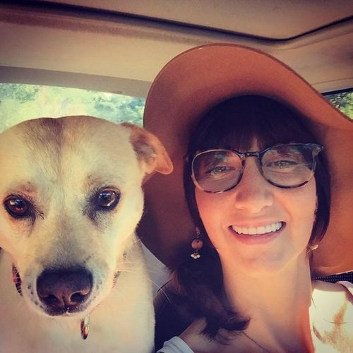Pet Care Provider Kelly P's Profile Picture