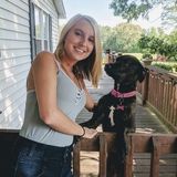 Hello! I am new to the Clayton, NC area and am great with animals and have a lot of experience with cats and dogs.