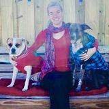 Palm Beach Gardens House Sitter Looking For Work in Florida