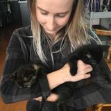 Fun animal loving couple that foster at the humane society