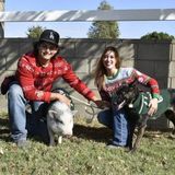 Experienced Animal Lover in Valencia