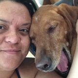 Experienced Pet &House Sitting Service Provider in Steamboat Springs