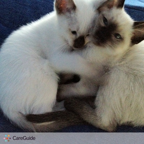 Pet Care Provider Meryl H's Profile Picture