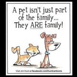 San Antonio Pet Sitter Will give your sweet fur members love and attention!