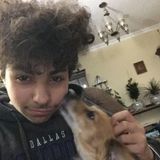 Caring Dog Walker in Sunnyvale