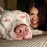 Searching for Rancho Cucamonga Animal Lover Jobs