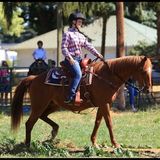 Estacada Pet Sitter Looking For Work