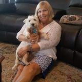 Hard Working Pet Feeding Available Retired nurse who loves pet