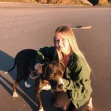 Interested in a dog walker or pet sitter job in Morgan Hill