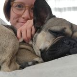 Hiring: Full-time Dog Sitter (M-F)