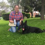 Responsible Pet Sitter