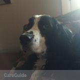 Great loving pet sitting