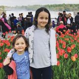 After school nanny wanted in Roncesvalles starting as soon as possible