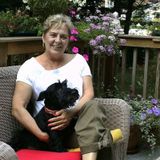Loving Care for Elderly/Disabled