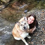 Very caring pet sitter/groomer in Cowansville, Quebec