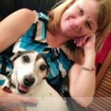 Traveling Pet Sitter-We Come to You!