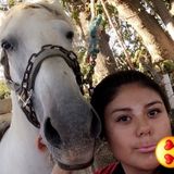 I love animals.